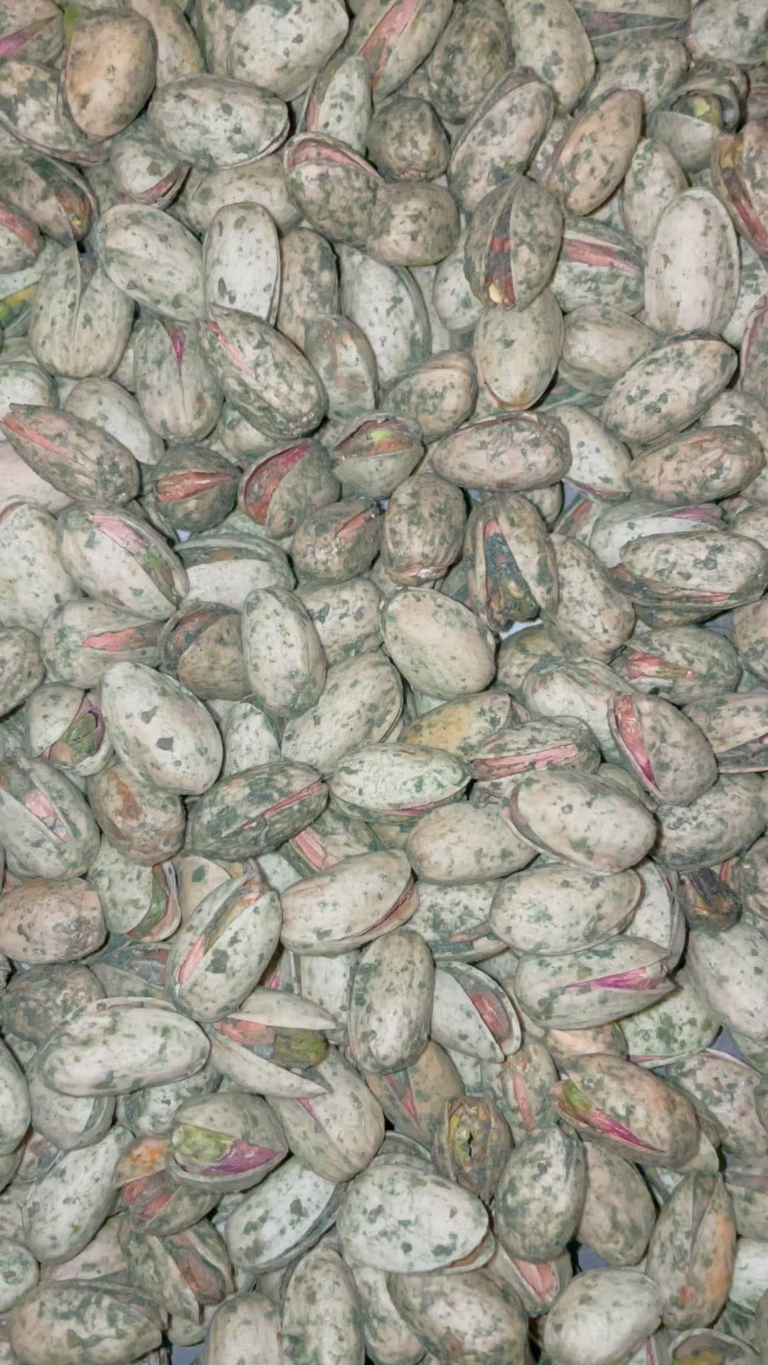 Post 8 by Sultans Nuts on Instagram (video)