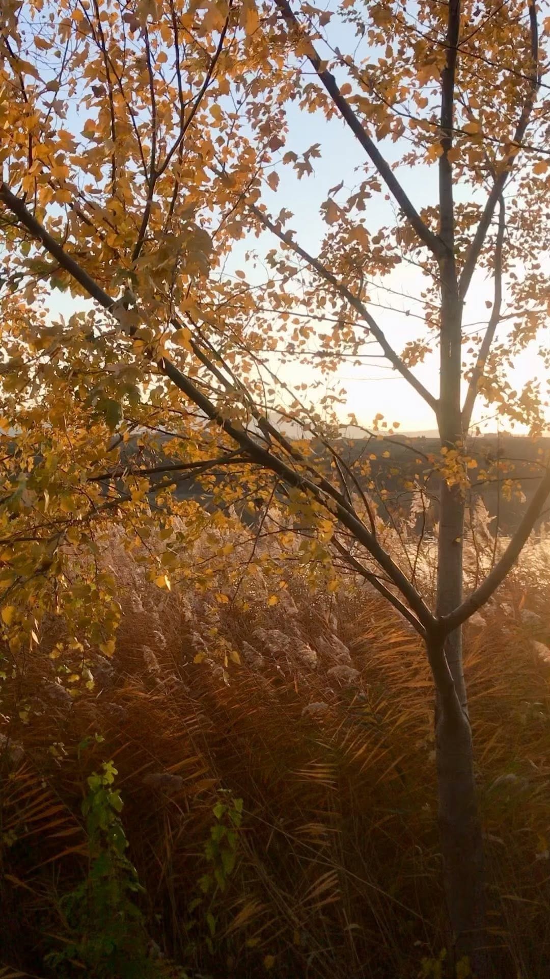 Post 5 by Mary on Instagram (video)