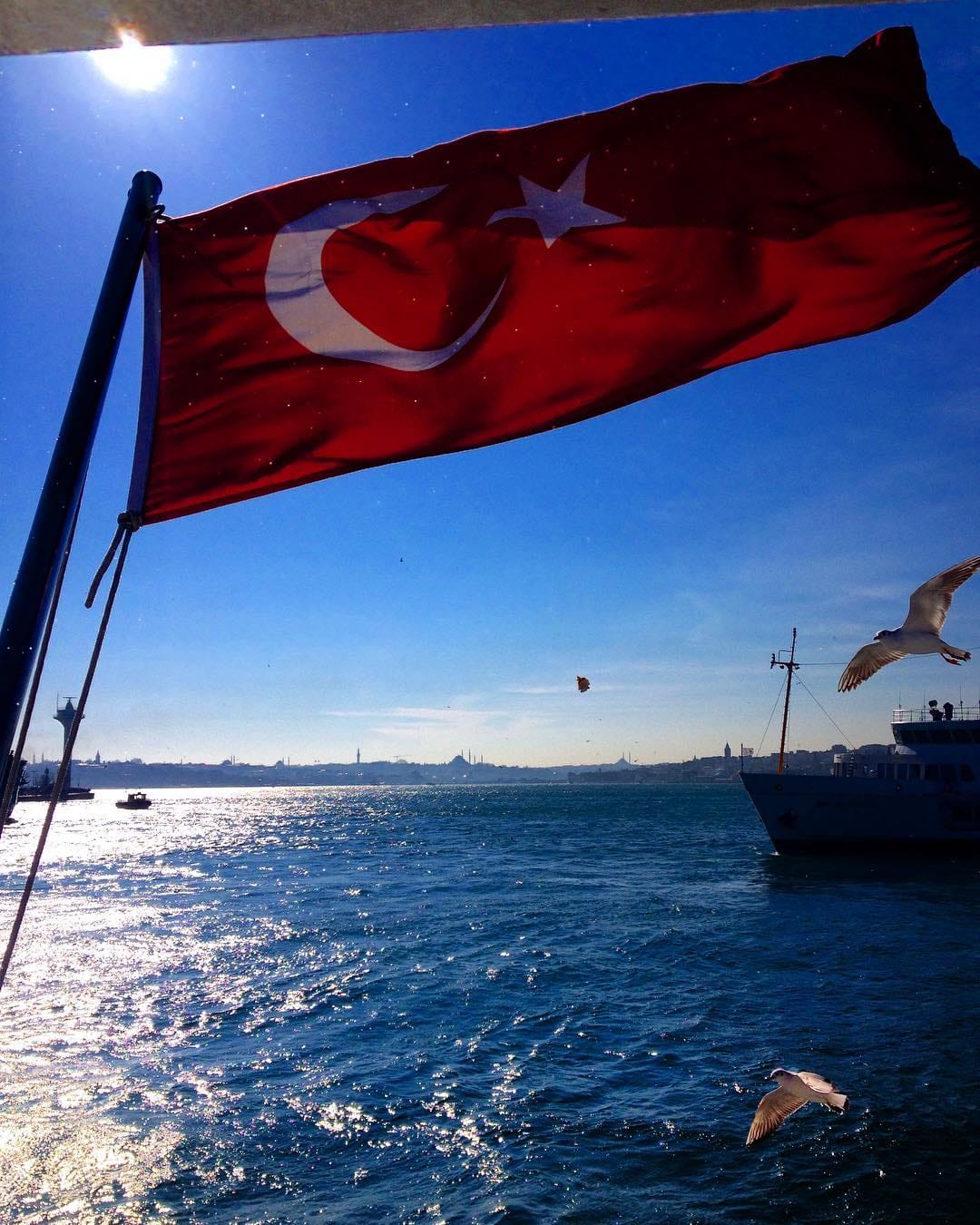Post 5 by M.Mutlu on Instagram (image)