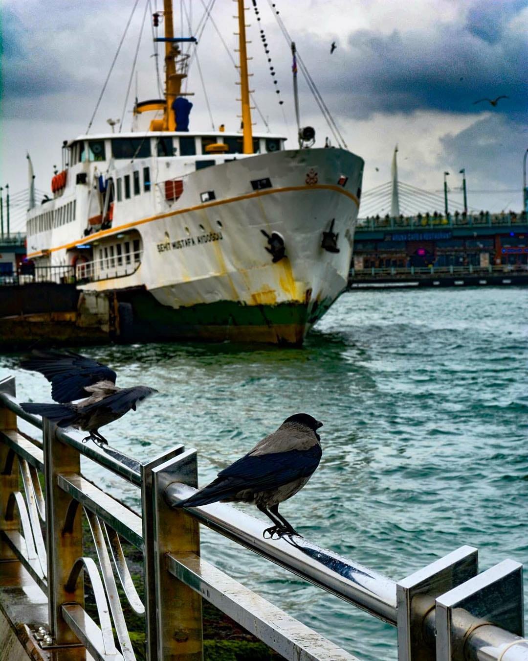 Post 3 by M.Mutlu on Instagram (image)