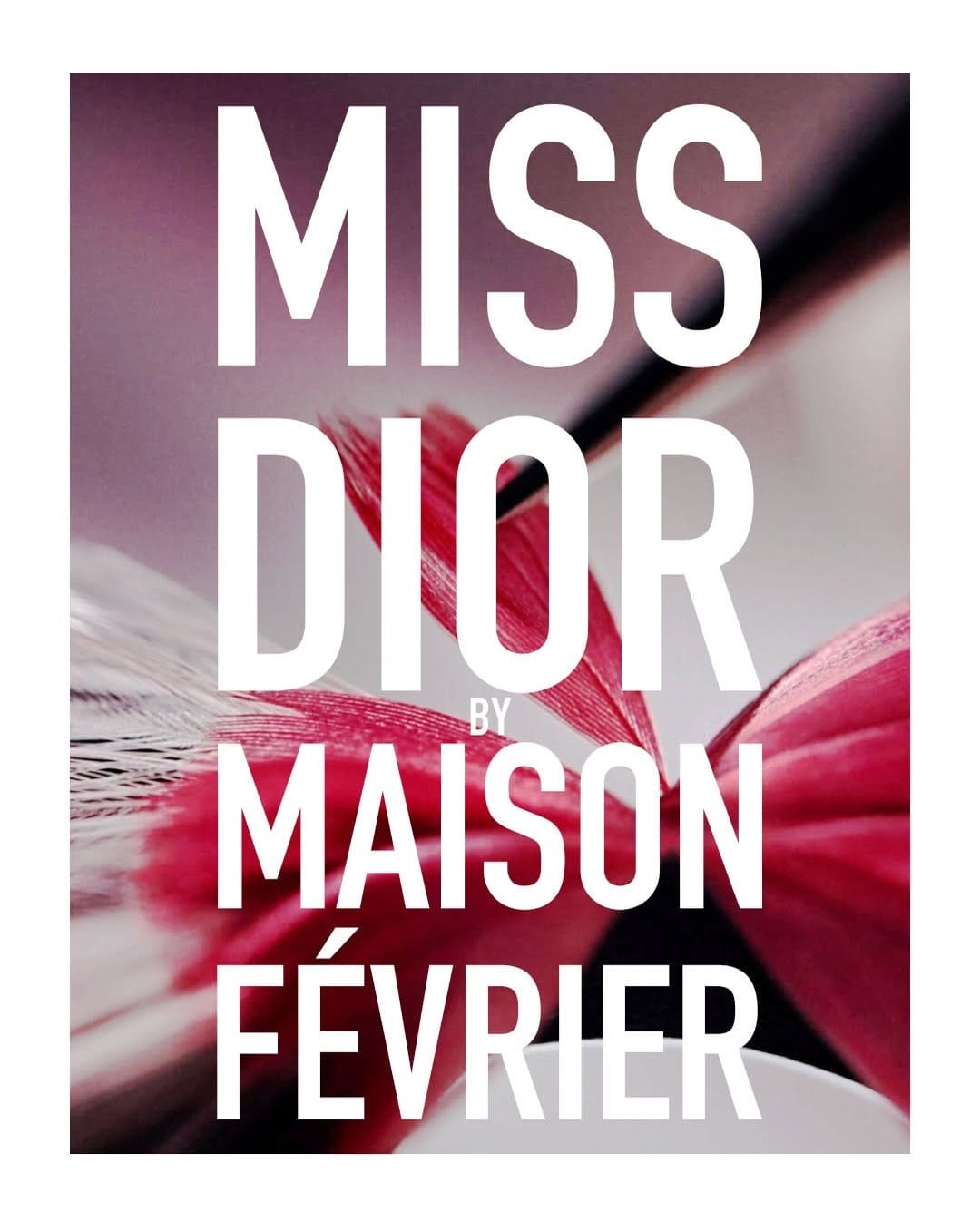 Post 10 by MAISON FÉVRIER — Plumassier, since 1929 on Instagram (carousel)