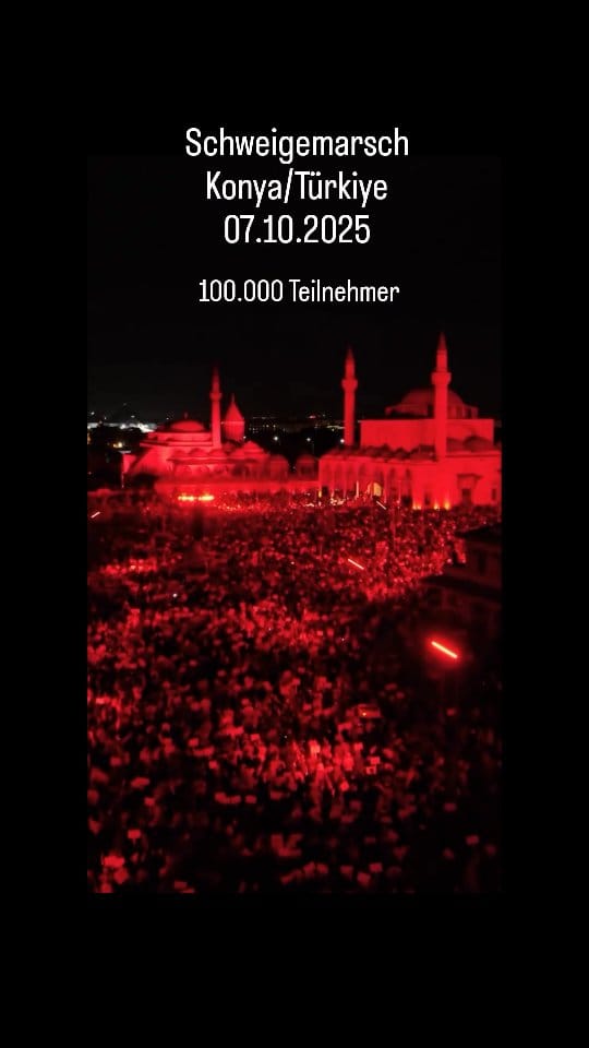 Post 1 by @junglegraphs on Instagram (video)