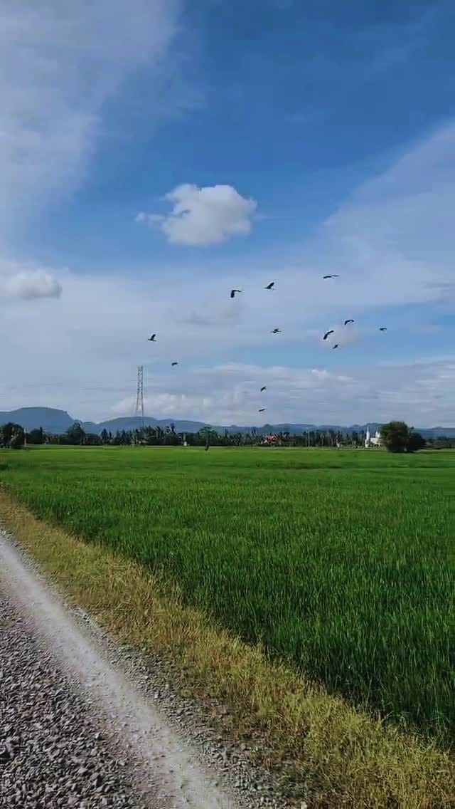 Post 7 by Zailan Sulong on Instagram (video)