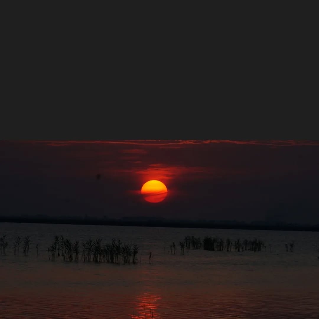 Post 8 by sunrise on Instagram (image)