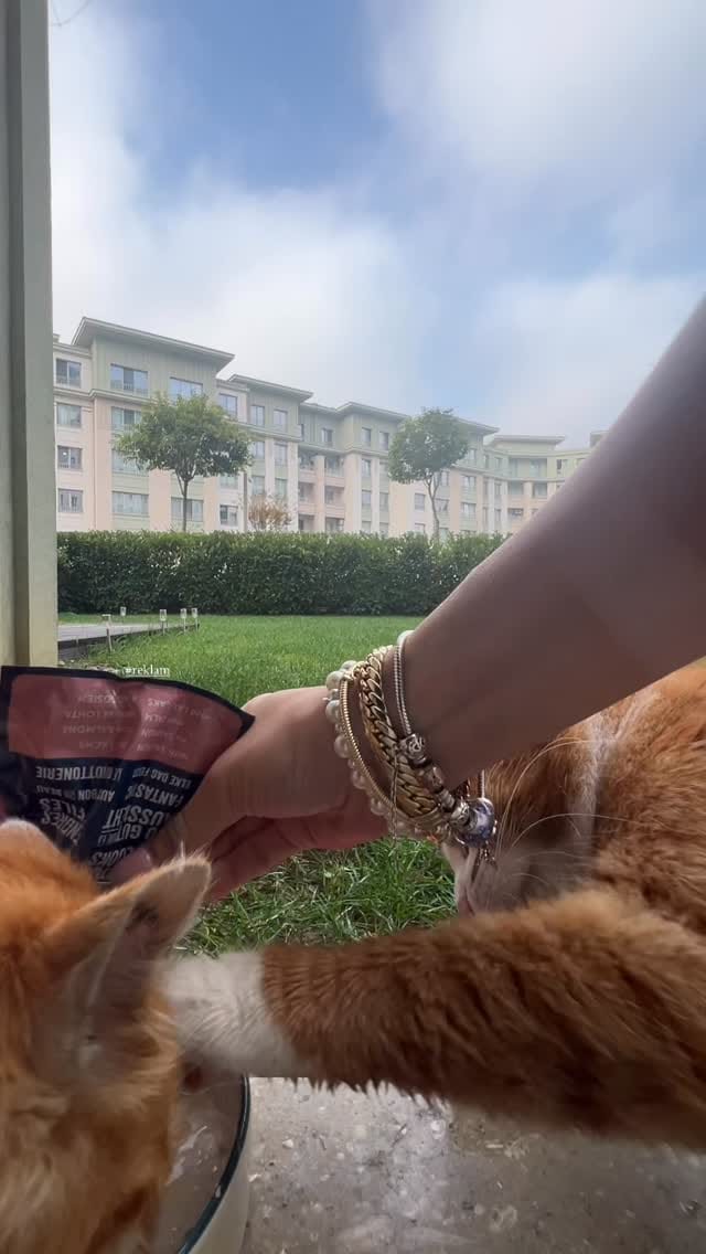Post 6 by Ezgi Mut Erol on Instagram (video)