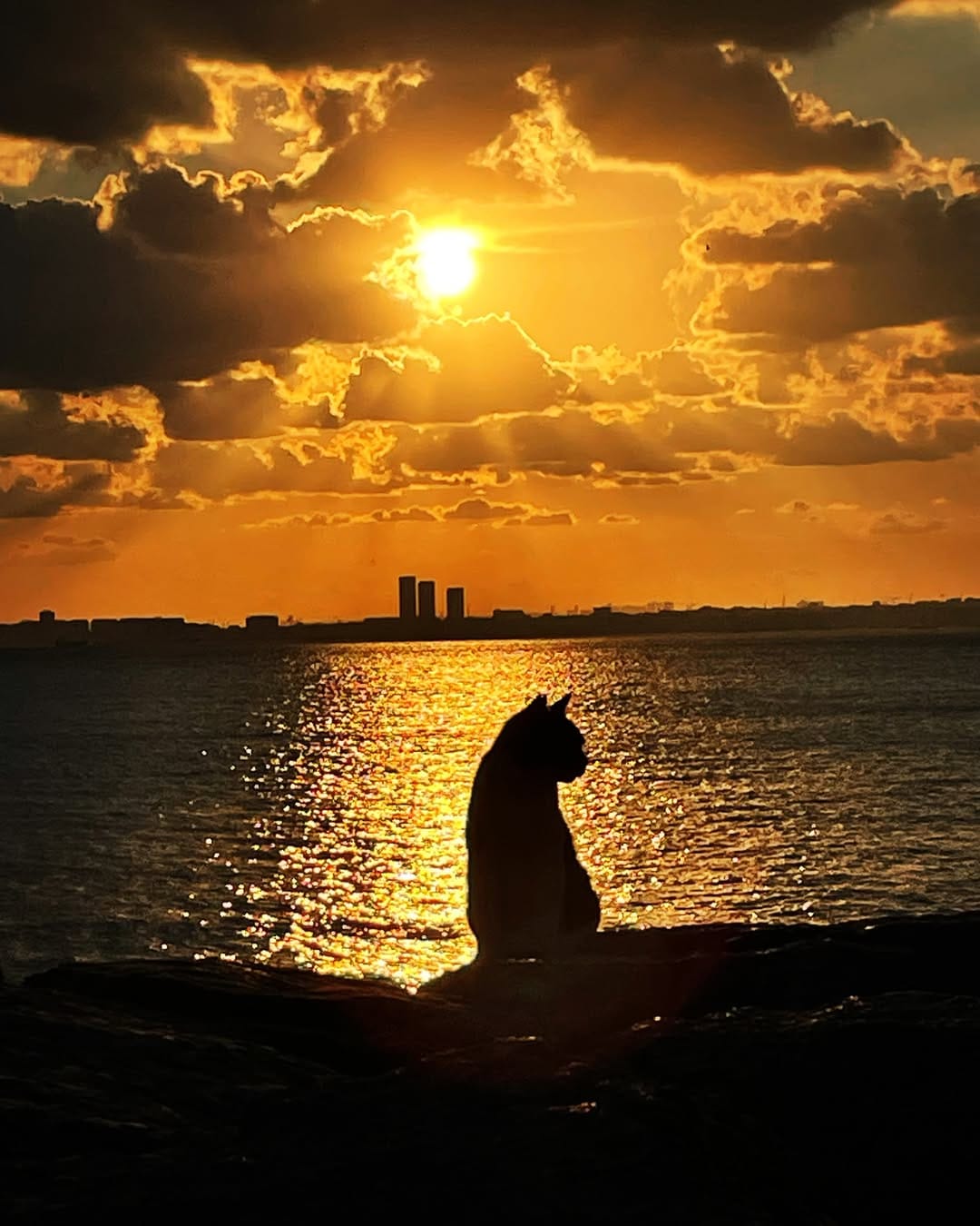 Post 5 by bulent turhan 🇹🇷 on Instagram (image)