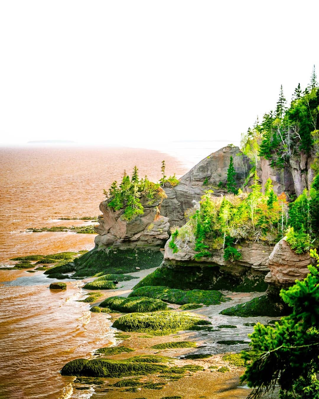 Post 4 by Moe Ghoneim •●• Halifax, NS on Instagram (image)