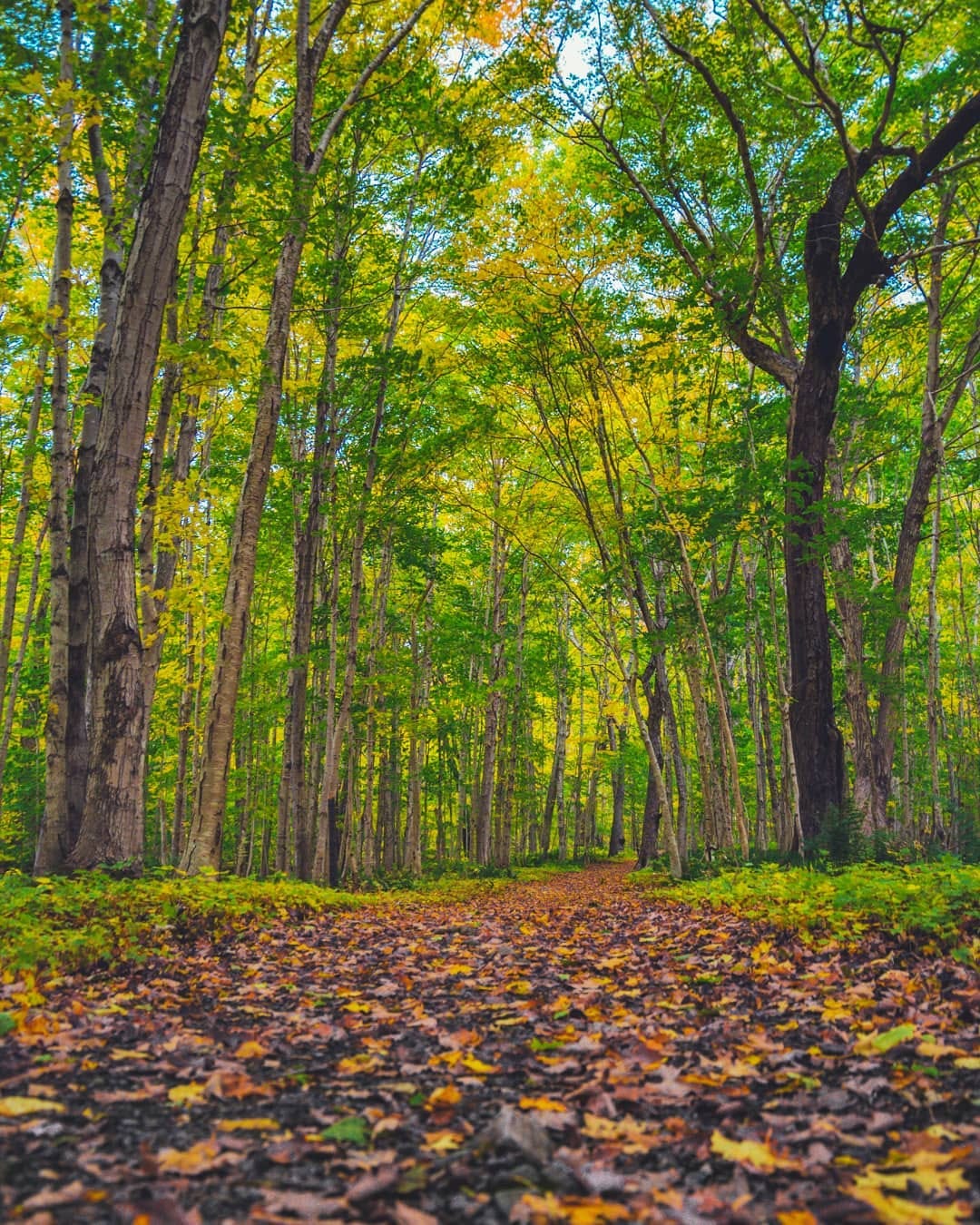 Post 2 by Moe Ghoneim •●• Halifax, NS on Instagram (image)