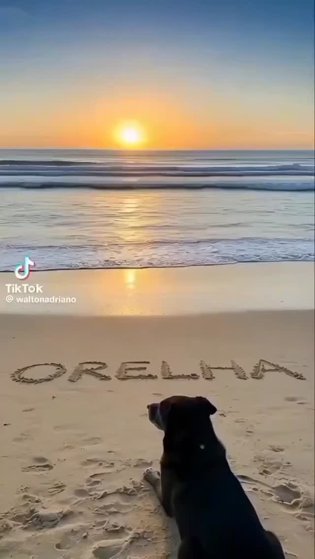 Post 1 by Dinho Monteiro on Instagram (video)