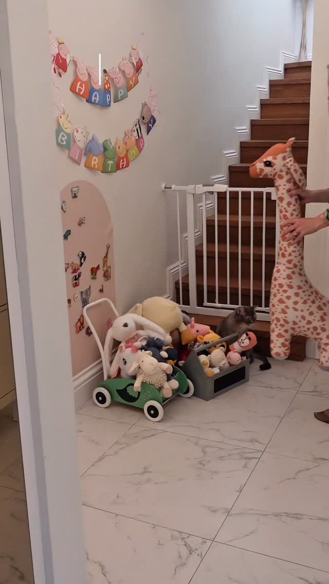 Post 2 by Ezgi Daysal Tan on Instagram (video)