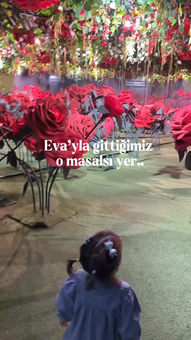 Post 1 by Ezgi Daysal Tan on Instagram (video)