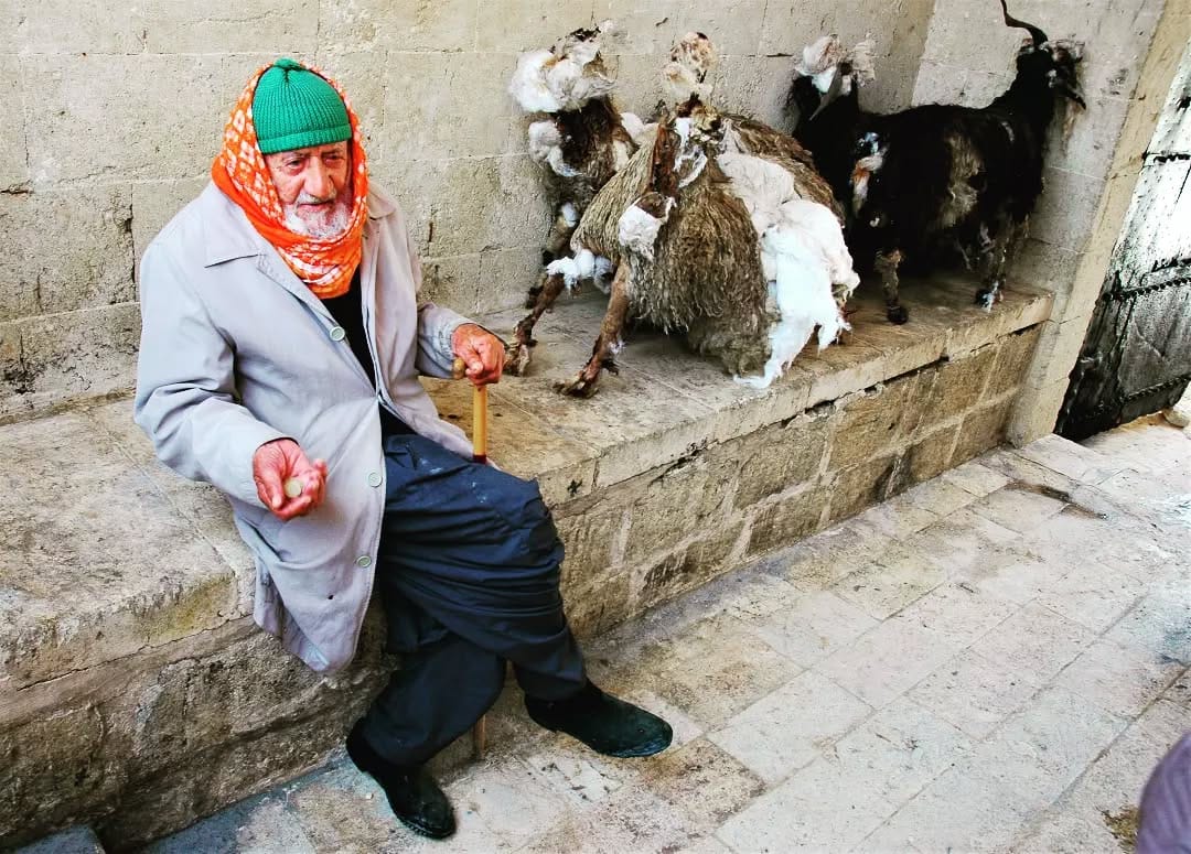 Post 2 by tumer uprak on Instagram (image)