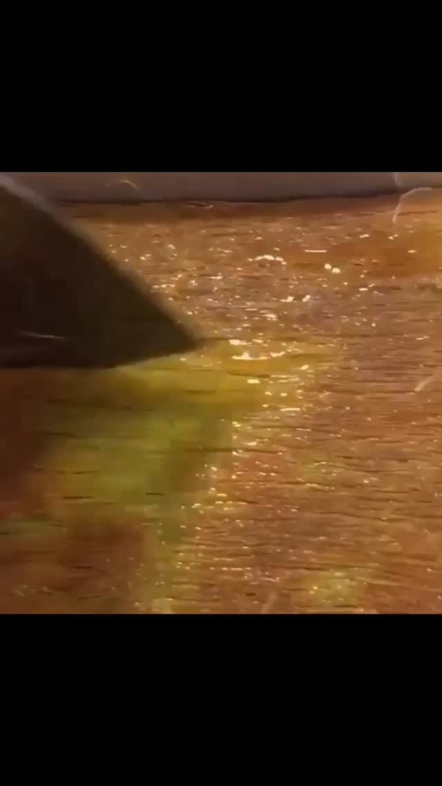 Post 6 by Fıstıkçıoğlu Sini Ankara on Instagram (video)