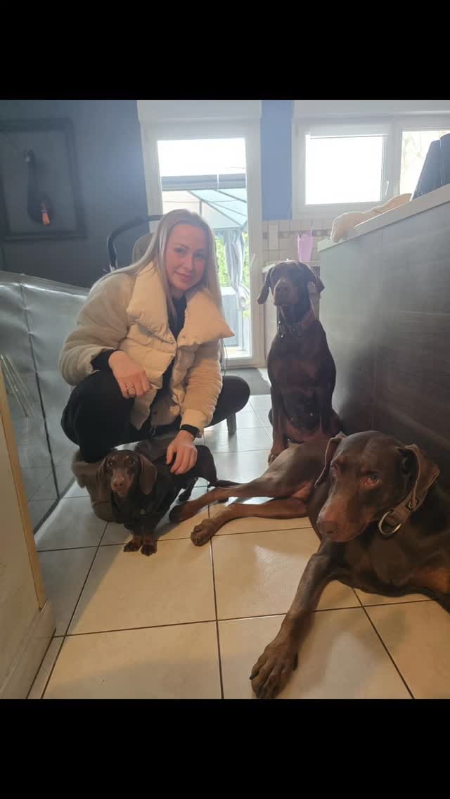 Post 5 by Phénix Ramsés🌈 Monster Juno Faith Alma Baks et Leo on Instagram (video)