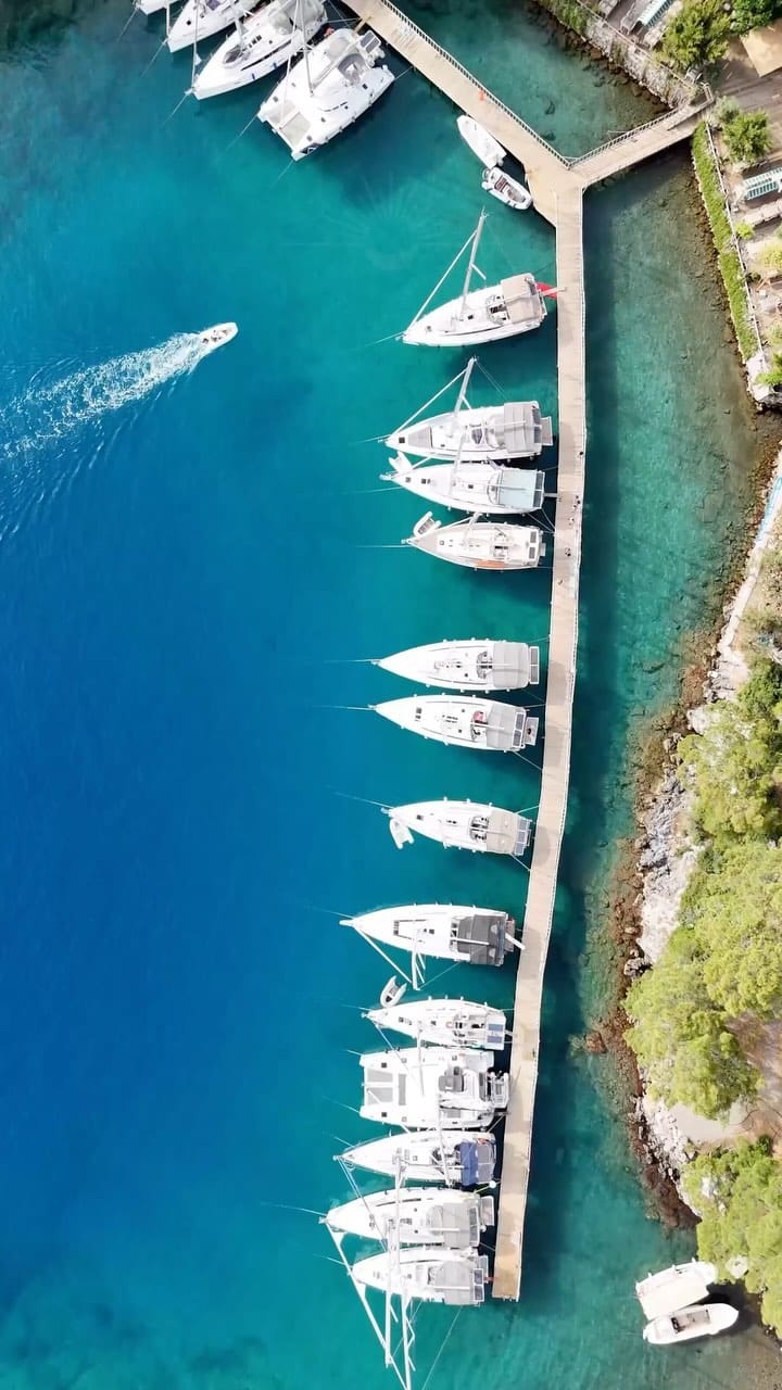 Post 2 by FutureTreats•Wellness Agency on Instagram (video)