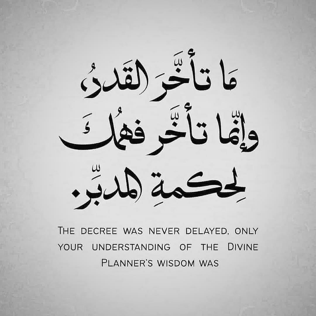 Post 5 by Alameen A.karim | امين التميمي on Instagram (image)