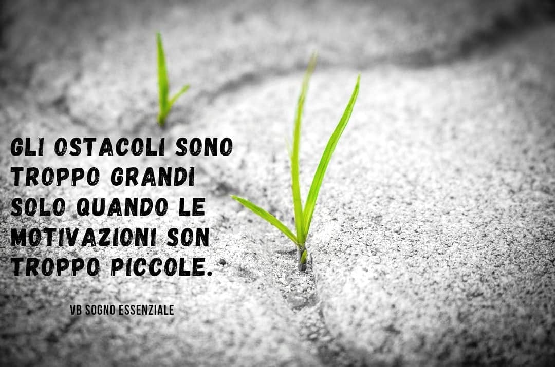 Post 7 by VB Sogno Essenziale on Instagram (image)