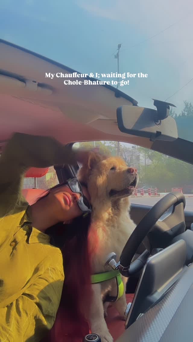 Post 4 by Disha Gaur on Instagram (video)
