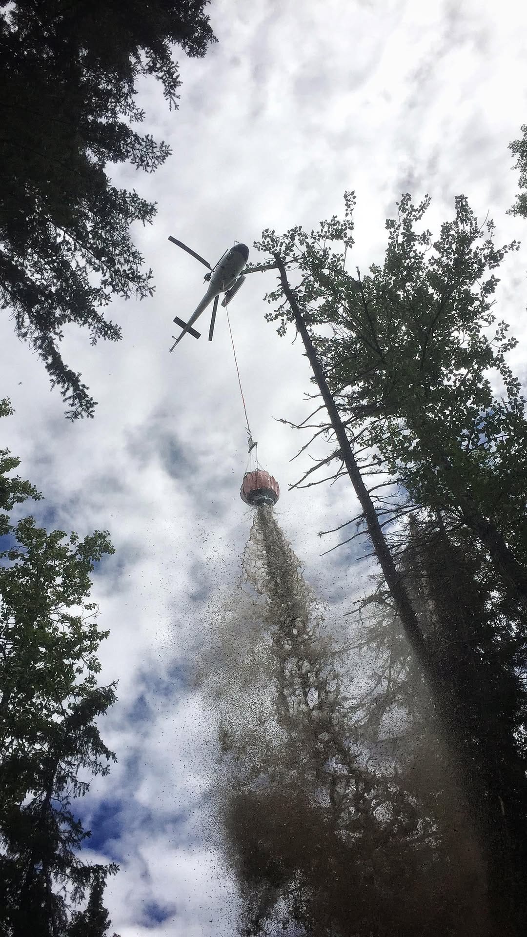 Post 3 by Calgary Heritage Roasting Co on Instagram (video)