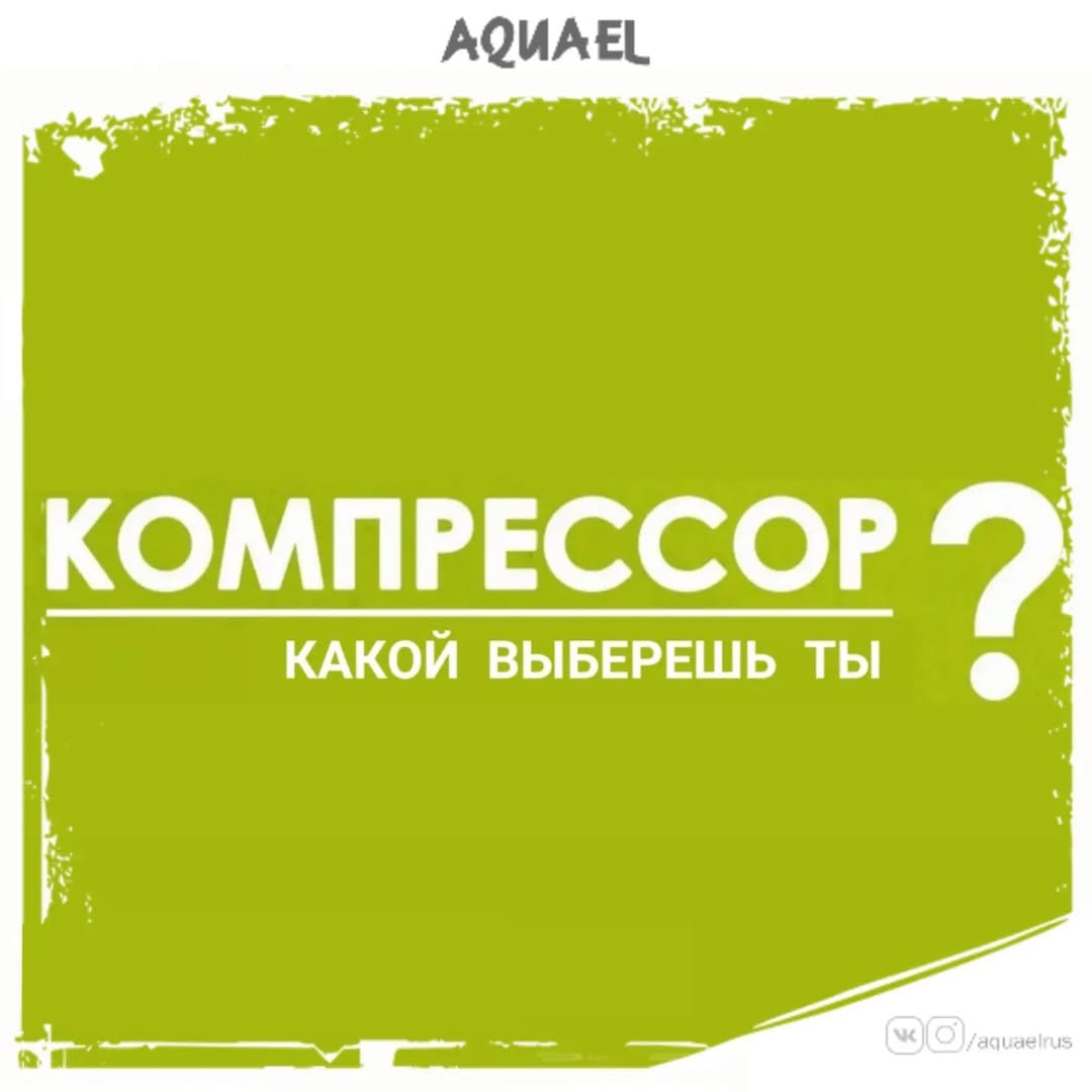 Post 5 by Представитель AQUAEL в России on Instagram (image)