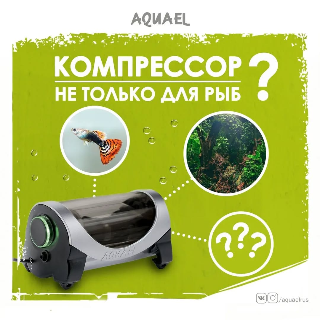 Post 6 by Представитель AQUAEL в России on Instagram (carousel)