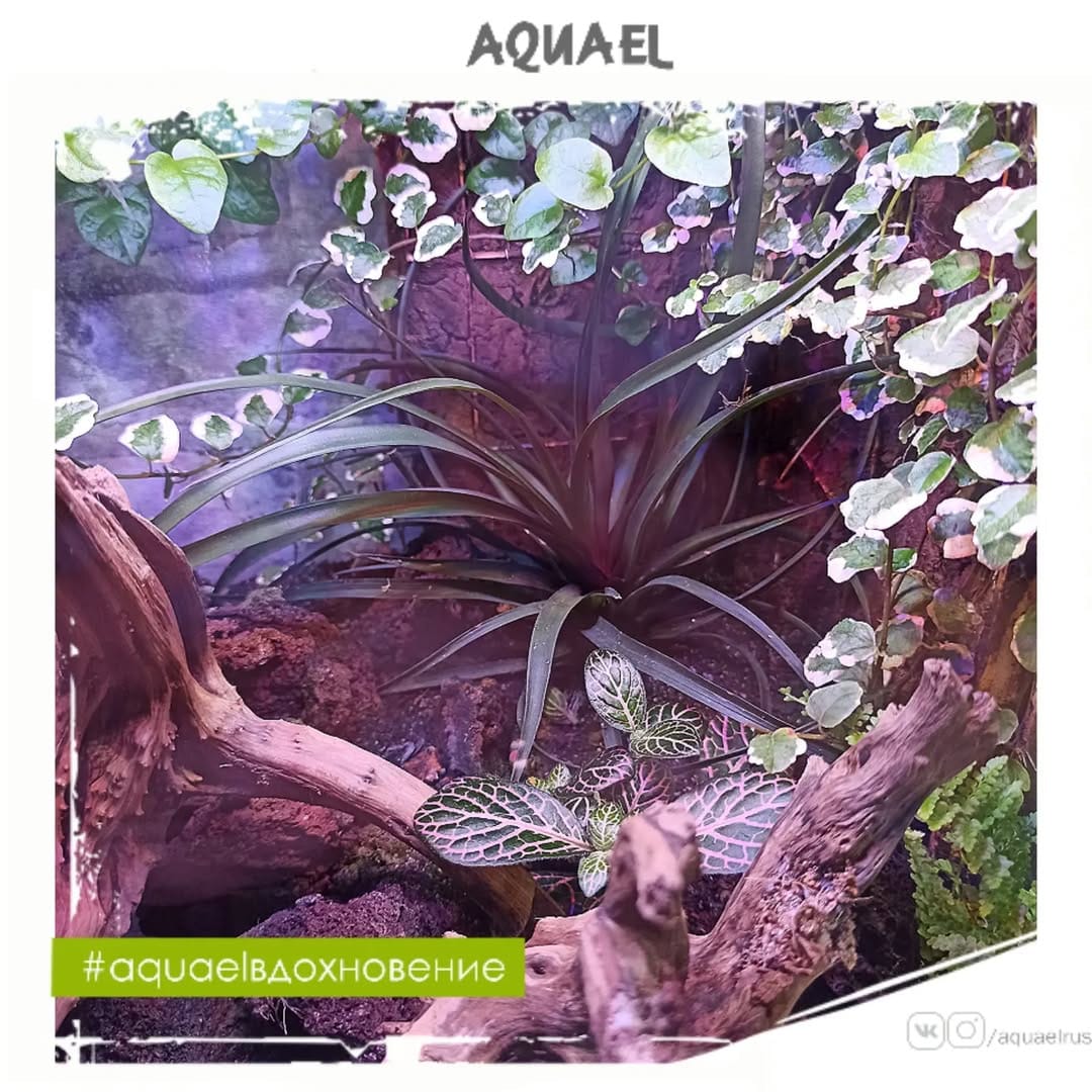 Post 8 by Представитель AQUAEL в России on Instagram (carousel)