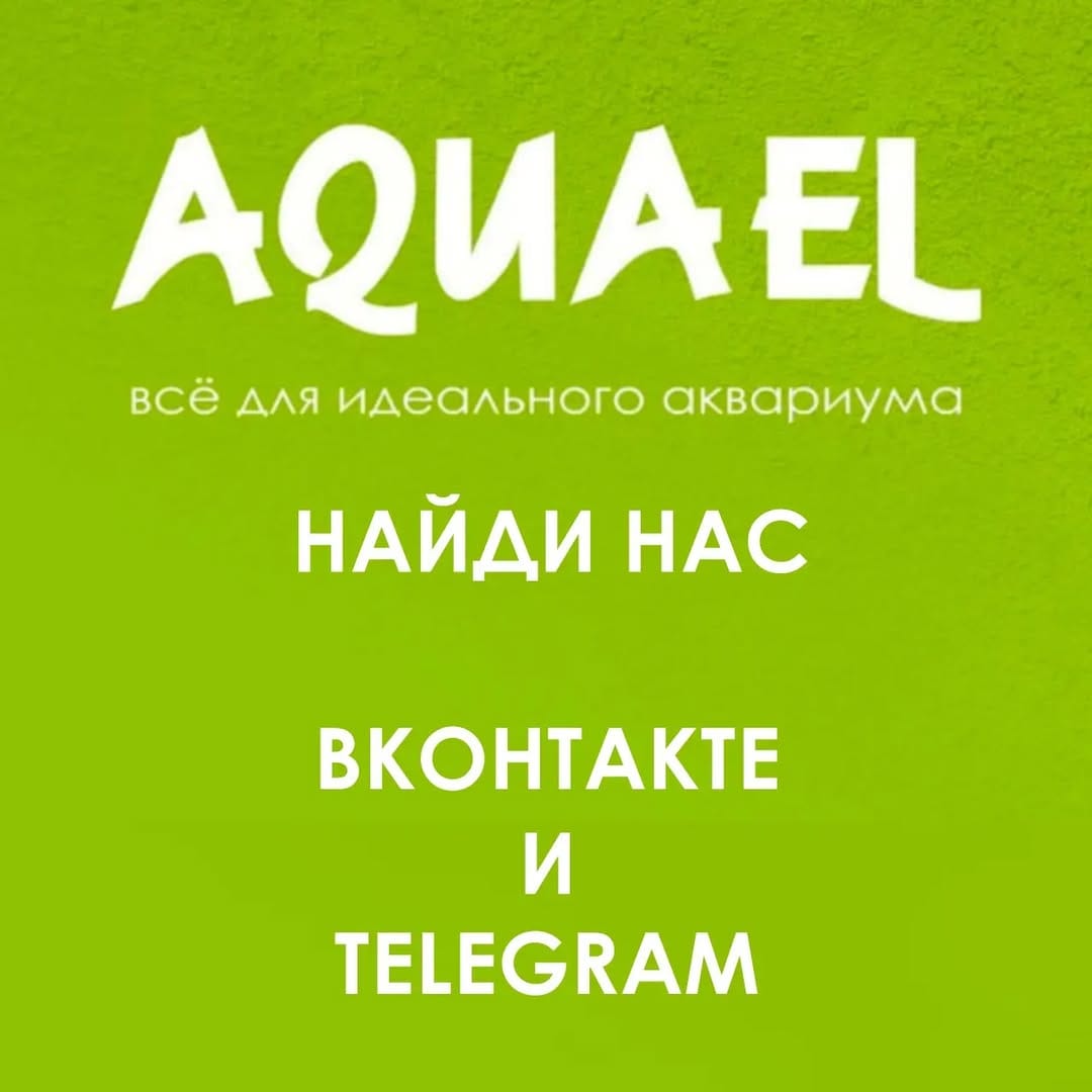 Post 2 by Представитель AQUAEL в России on Instagram (image)