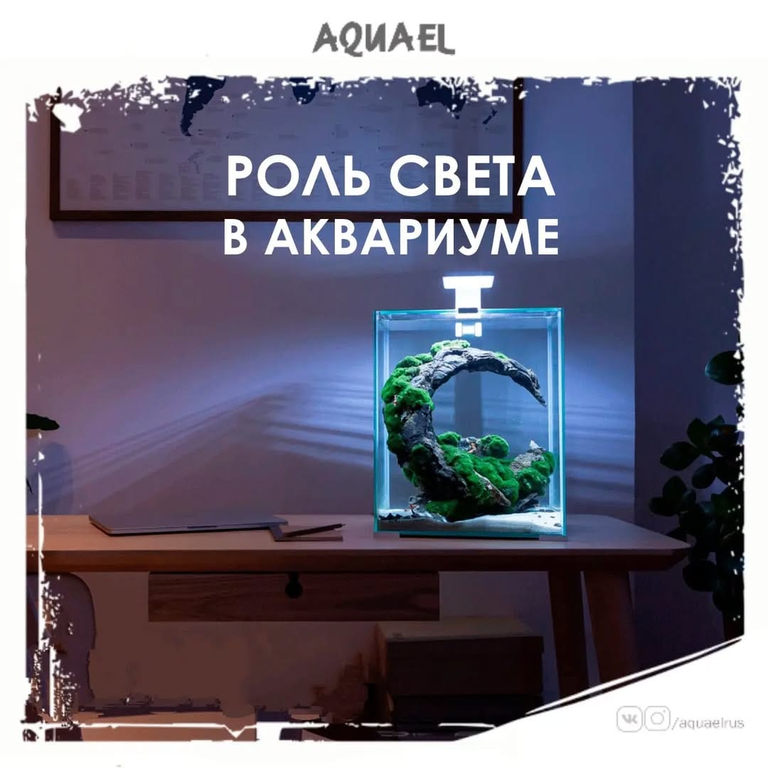 Post 3 by Представитель AQUAEL в России on Instagram (carousel)
