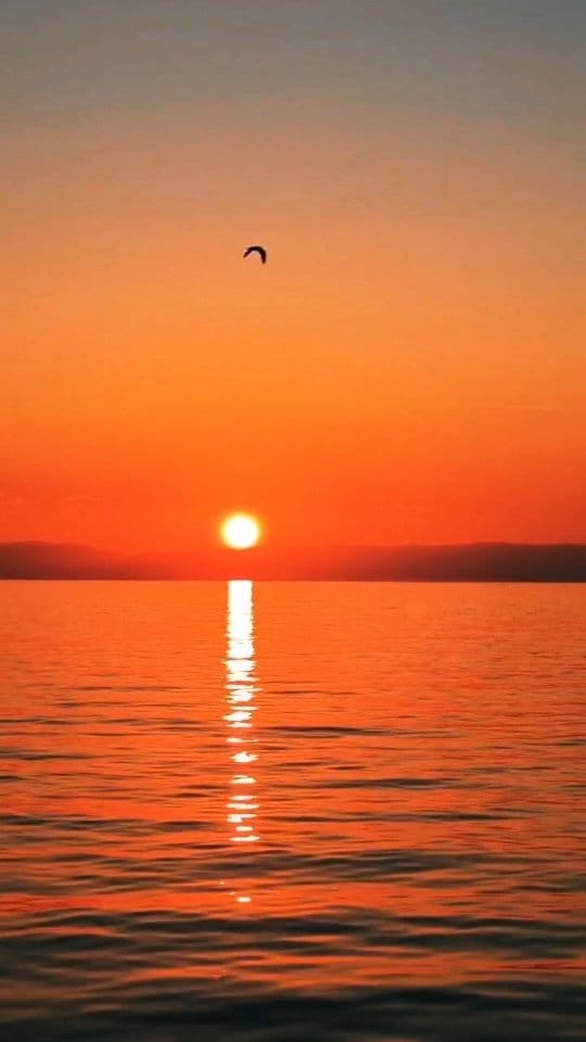 Post 6 by Pamela  ✈ Travel on Instagram (video)