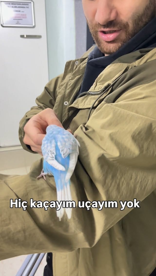 Post 6 by Lider Plus Pet Shop, Pet Otel ve Pet Kuaför on Instagram (video)