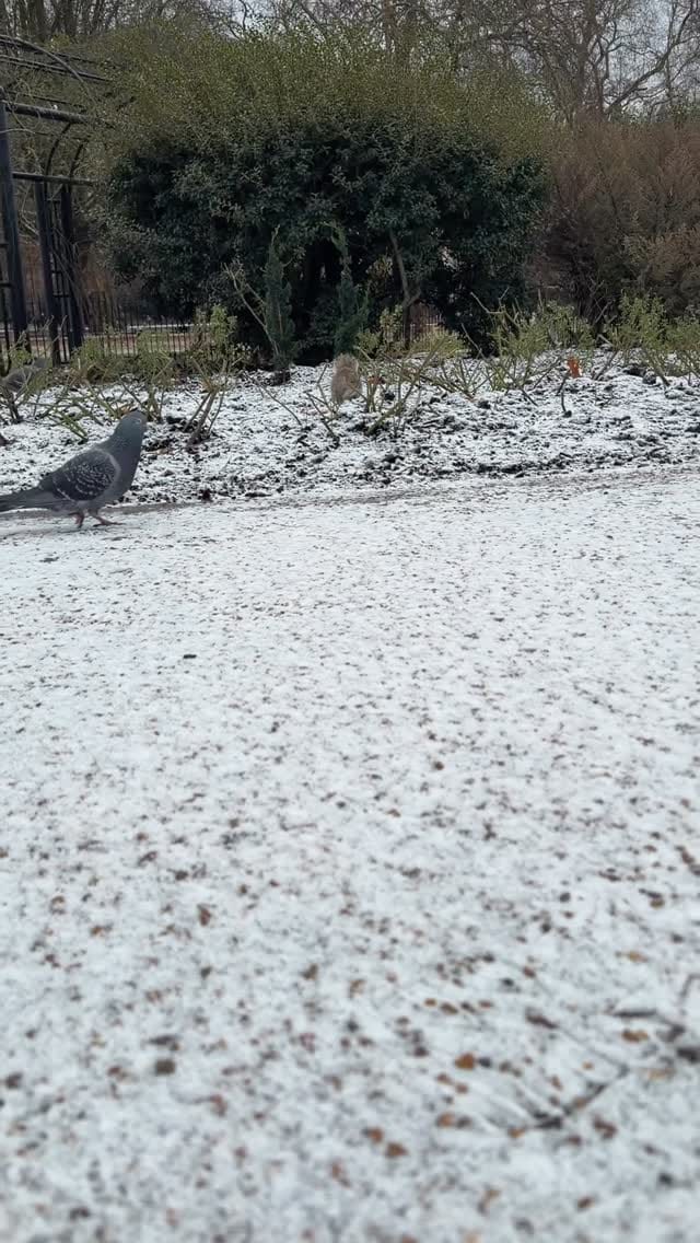 Post 3 by Ahmad Alkaabi on Instagram (video)