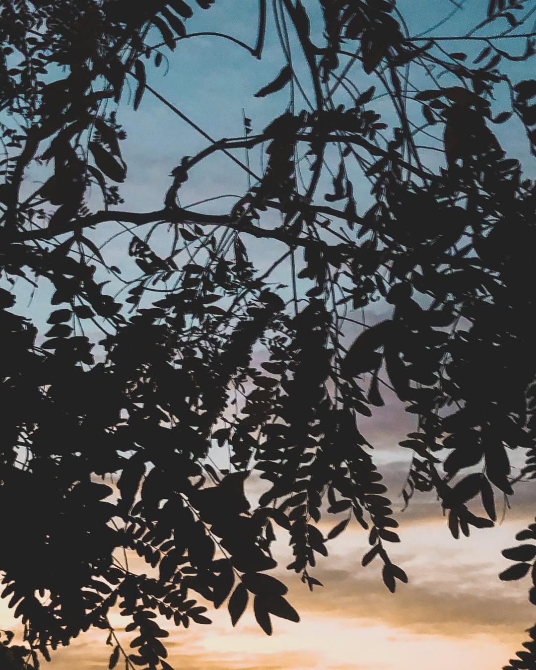 Post 7 by 𝓙𝓮𝓼𝓼𝓲𝓬𝓪 𝓛𝓮𝓸𝓷𝓲 on Instagram (image)