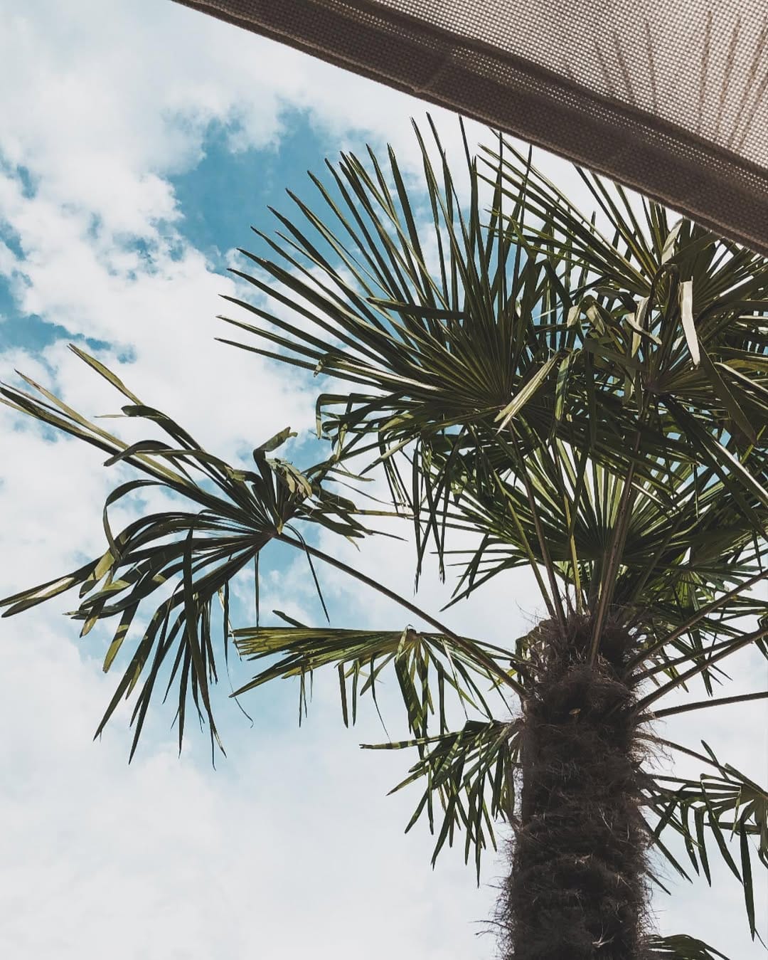 Post 10 by 𝓙𝓮𝓼𝓼𝓲𝓬𝓪 𝓛𝓮𝓸𝓷𝓲 on Instagram (image)