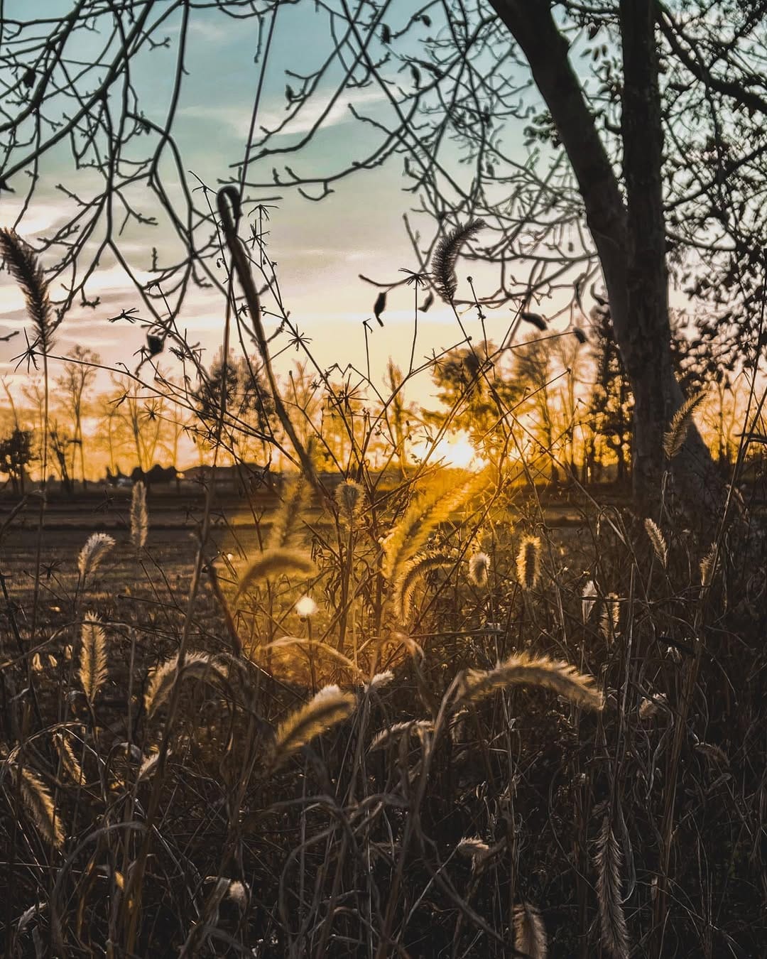 Post 8 by 𝓙𝓮𝓼𝓼𝓲𝓬𝓪 𝓛𝓮𝓸𝓷𝓲 on Instagram (image)