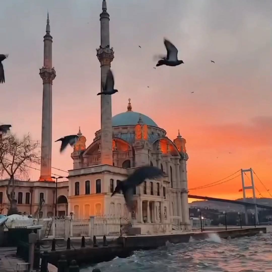 Post 5 by Erkan Türka on Instagram (video)