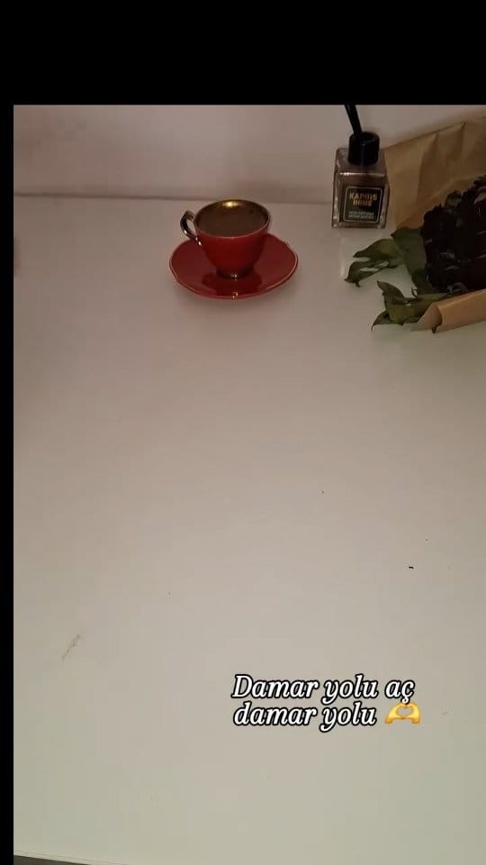 Post 8 by Şerife  Topatan on Instagram (video)
