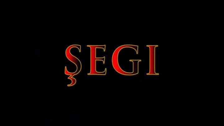 Post 10 by Şeyhmus Elmas🩸 on Instagram (video)