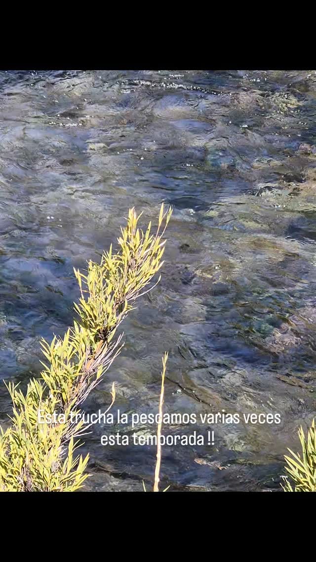 Post 9 by Planeta Outdoor on Instagram (video)