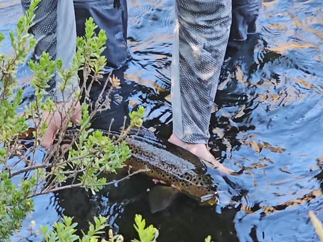 Post 2 by Planeta Outdoor on Instagram (video)