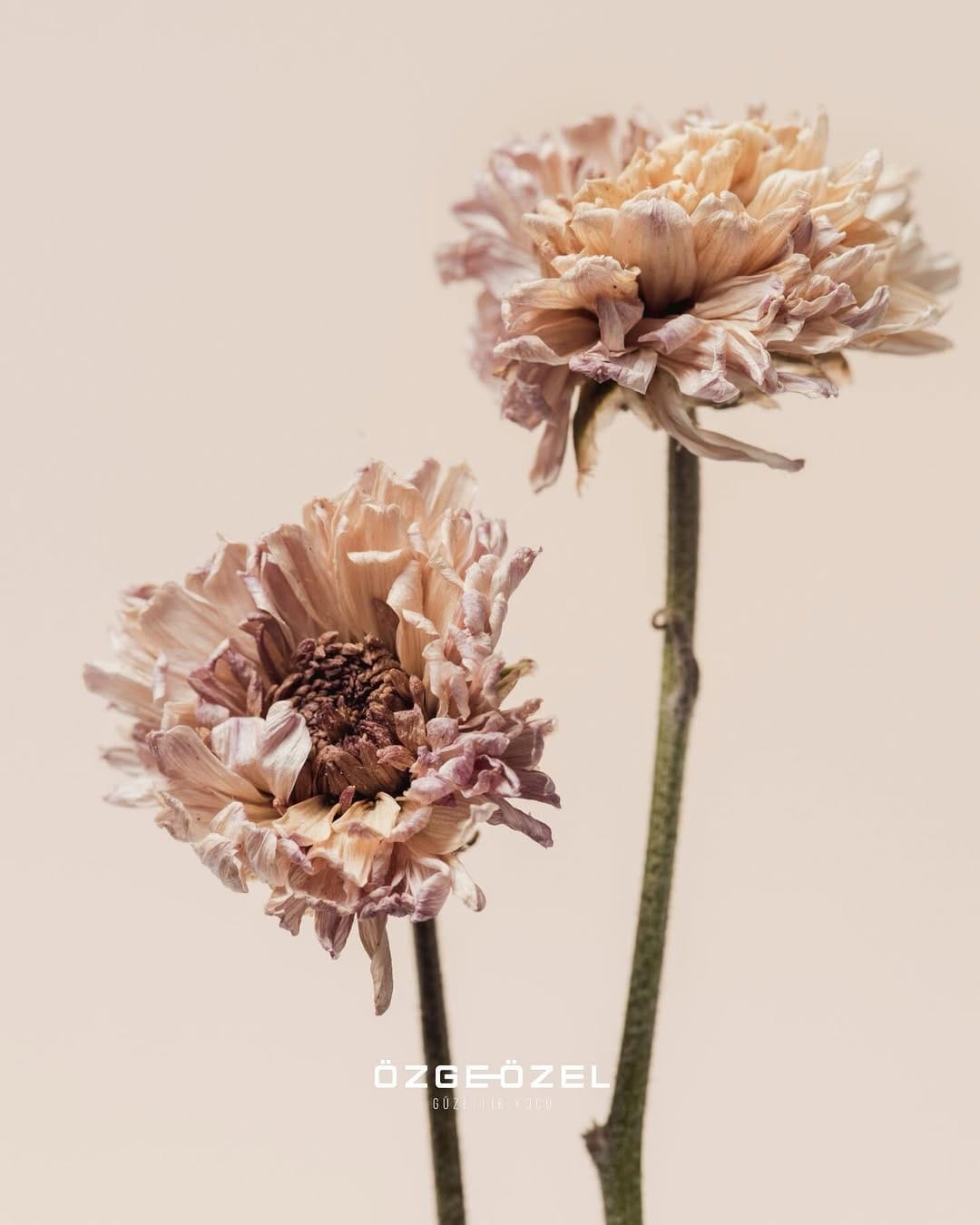 Post 1 by Özge Özel Beauty on Instagram (image)