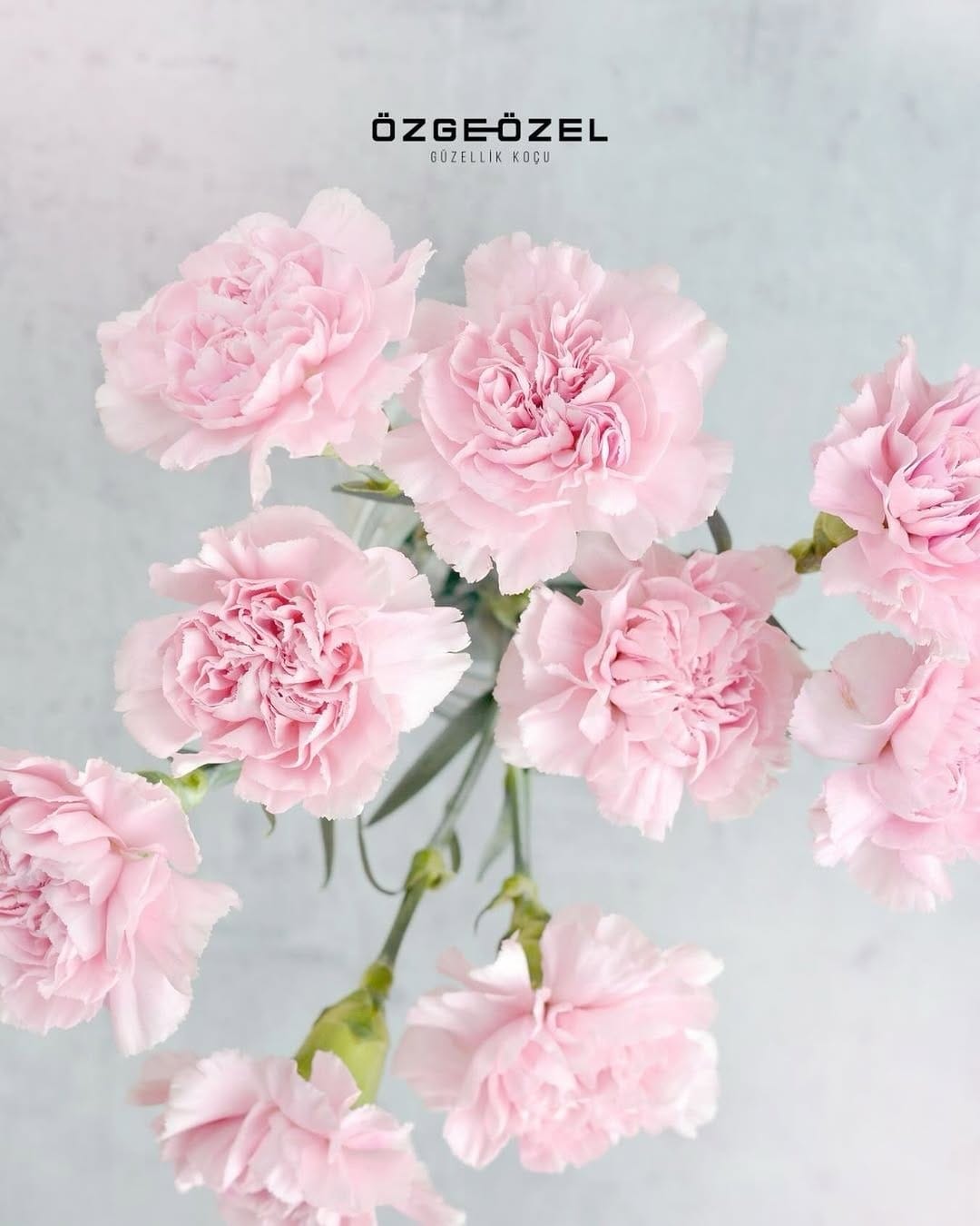 Post 4 by Özge Özel Beauty on Instagram (image)