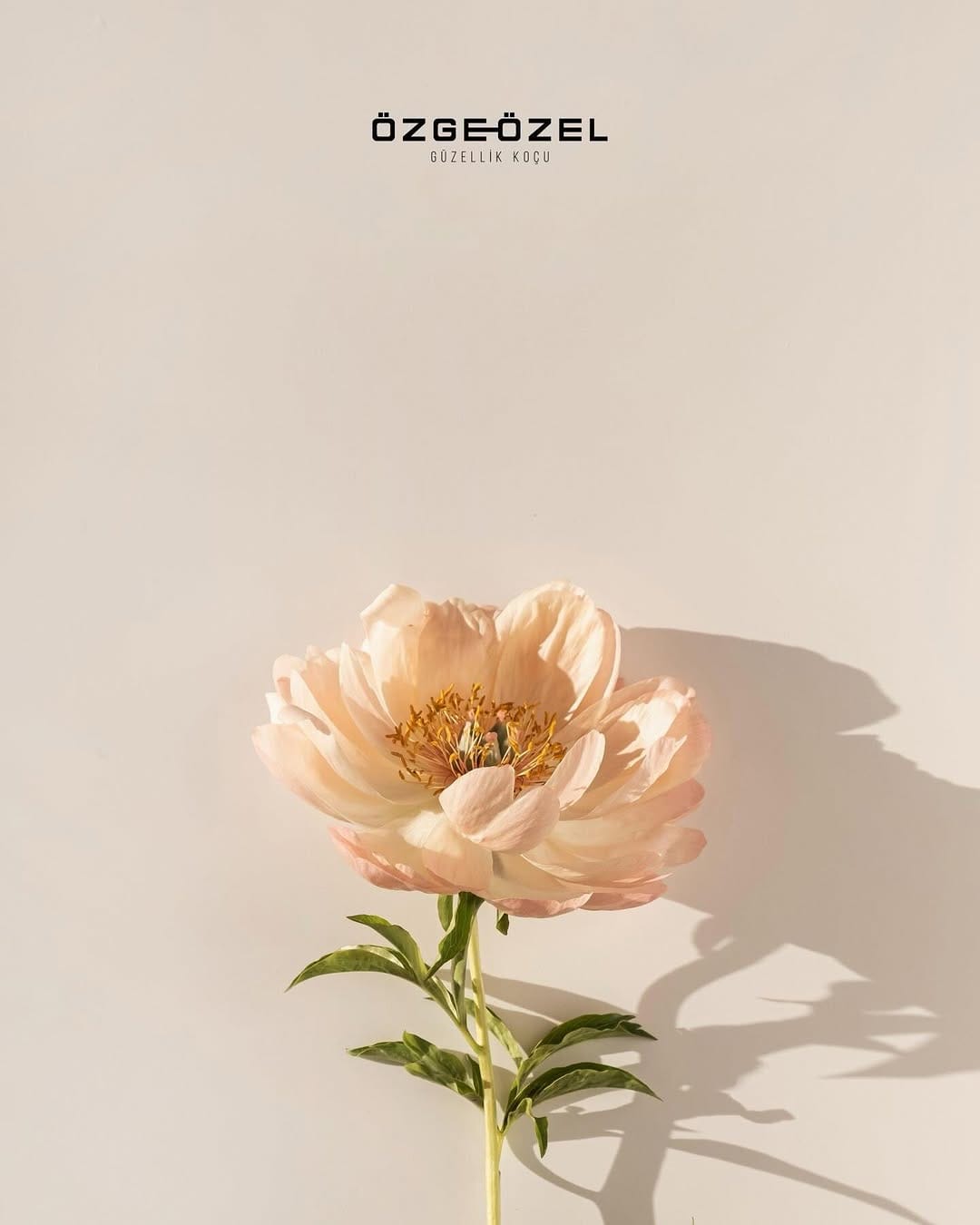 Post 7 by Özge Özel Beauty on Instagram (image)
