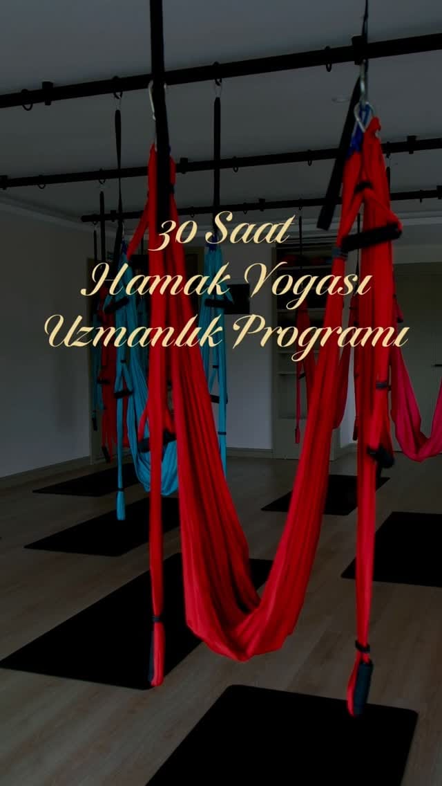 Post 5 by Yeliz Köker on Instagram (video)