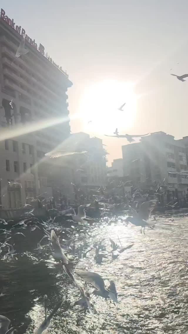 Post 6 by Tariq Al Salman on Instagram (video)