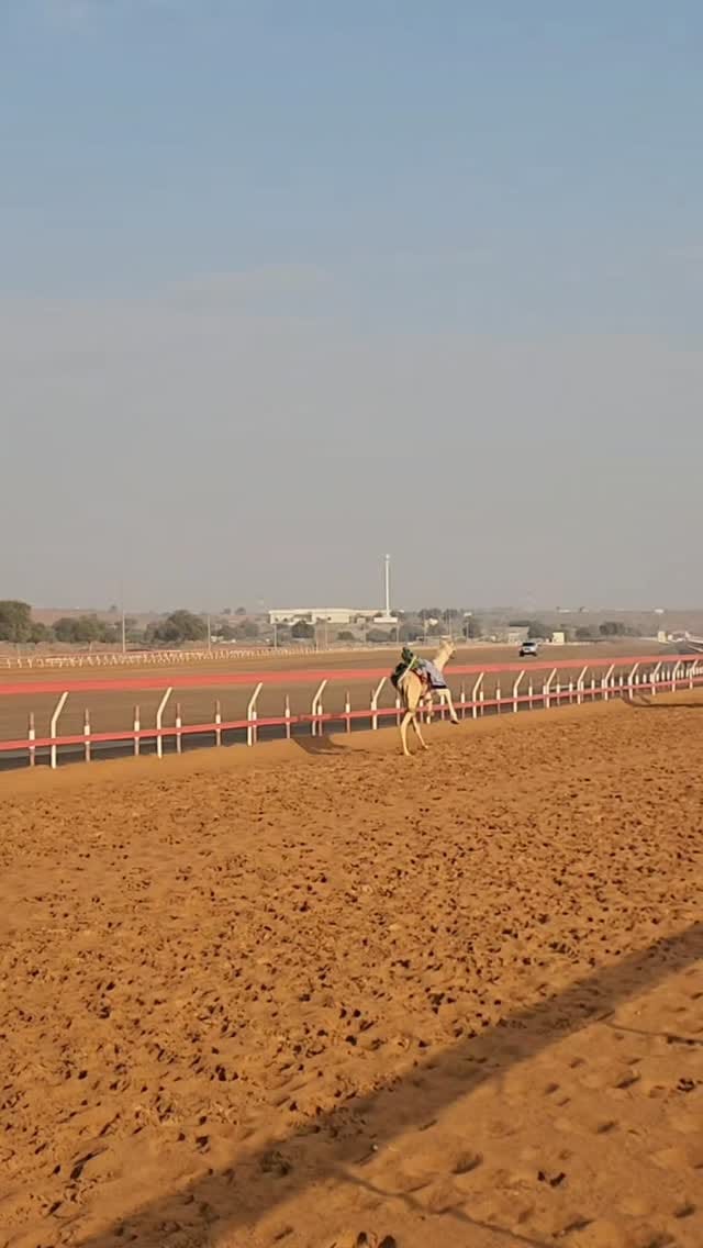 Post 9 by Tariq Al Salman on Instagram (video)