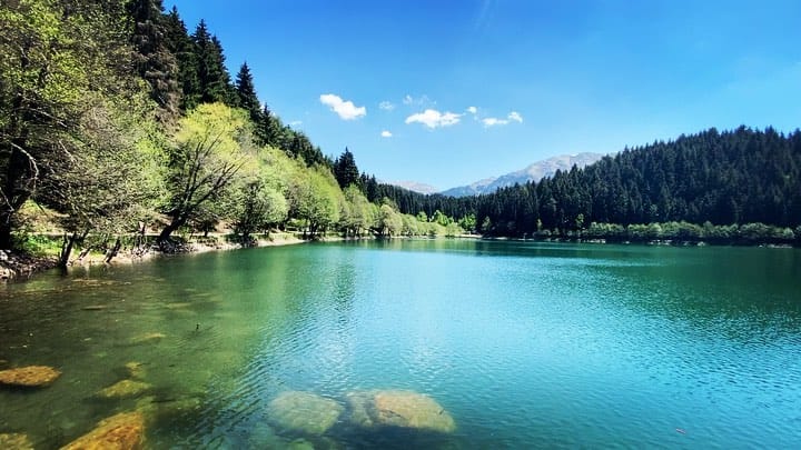 Post 10 by Numan Rıdvan Parto on Instagram (video)