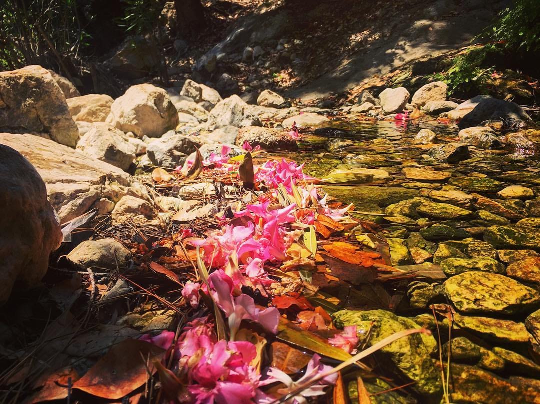 Post 8 by Aysu Nizamoglu Unlu on Instagram (image)