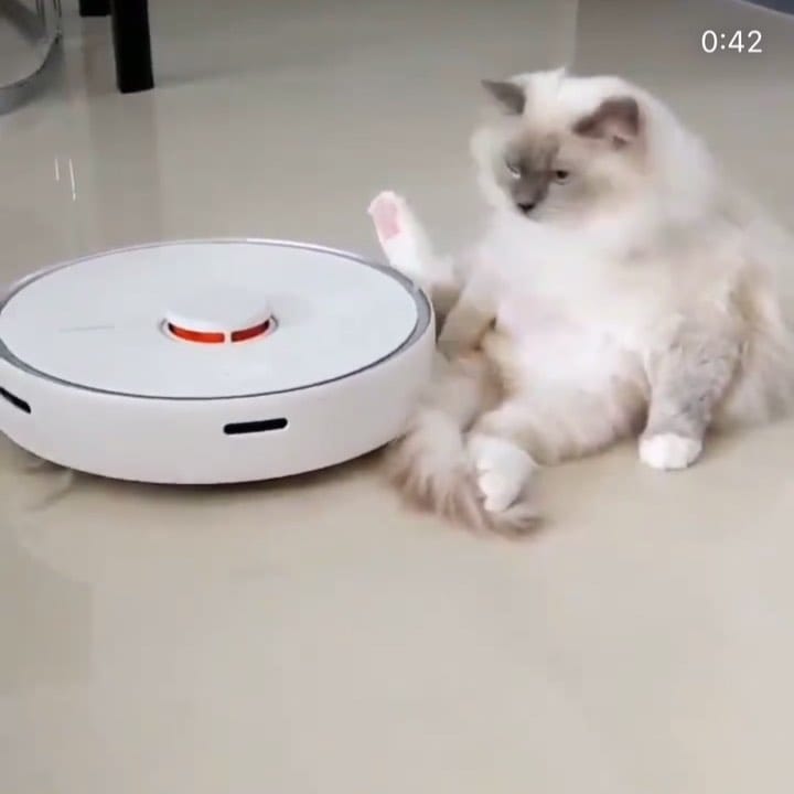 Post 4 by Robot Pilesos🤤Yalniz Bizde🎊 on Instagram (video)