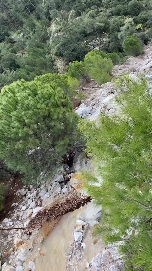 Post 1 by ELİF GÜLER on Instagram (video)
