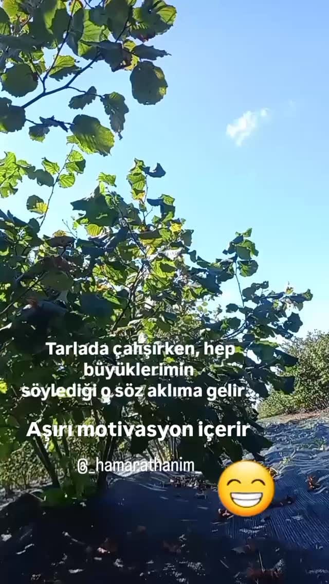Post 5 by Hamarat Eller (Köy Blog)🦋🇹🇷🏡☕️🥘👩‍🌾 on Instagram (video)